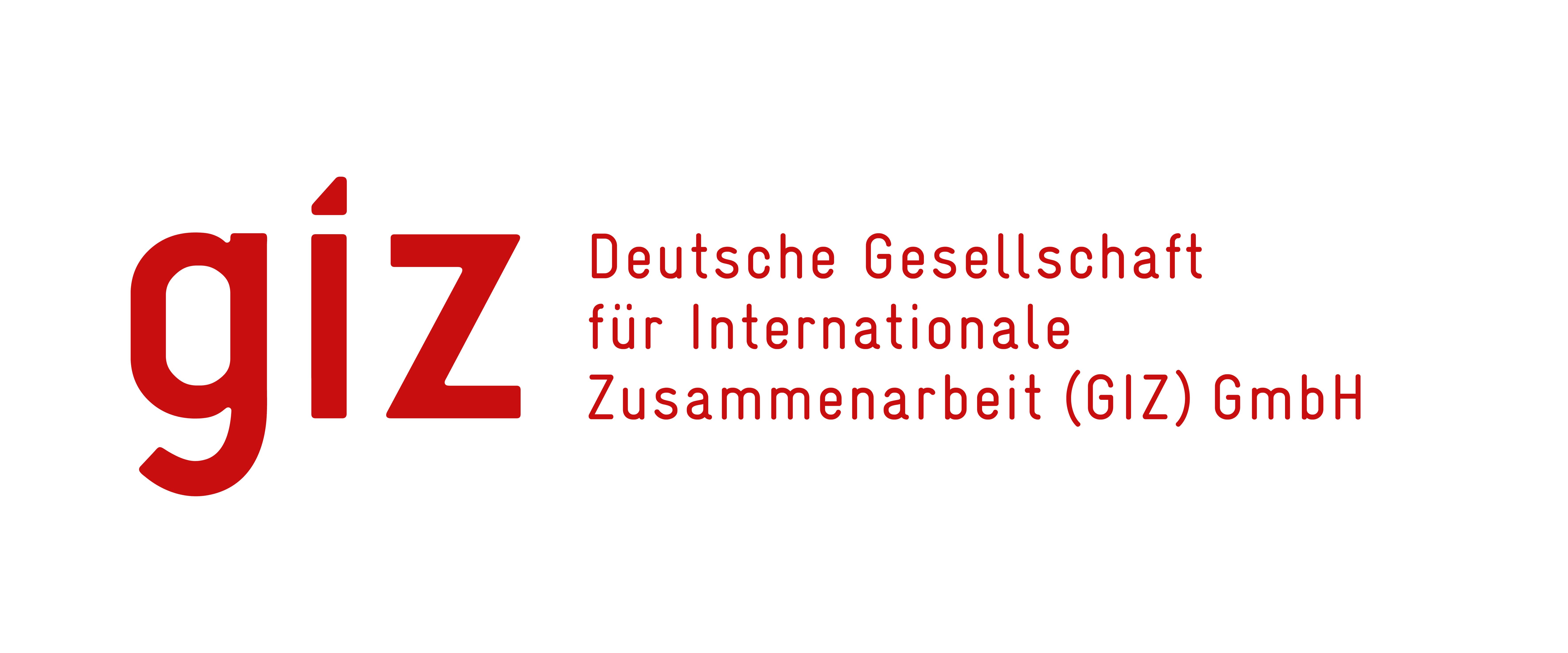 Logo GIZ